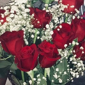 Meet your Posher, Thomasina